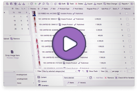 Store Manager for WooCommerce Store